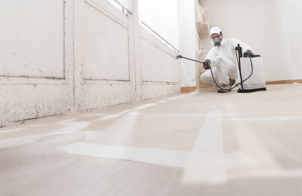 24/7 Emergency Black Mold Removal experts in Allentown, NJ